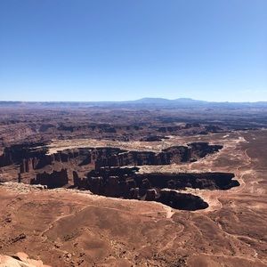 Meet your Posher, Leo